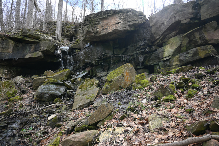 McNeilly West Falls