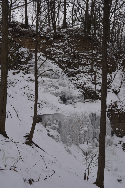 Scenic Falls