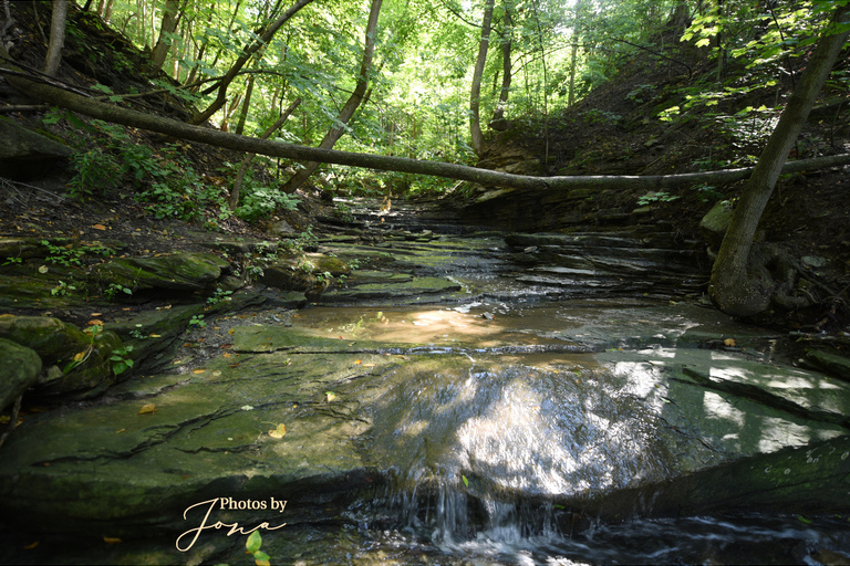 Lower Cliffview Falls