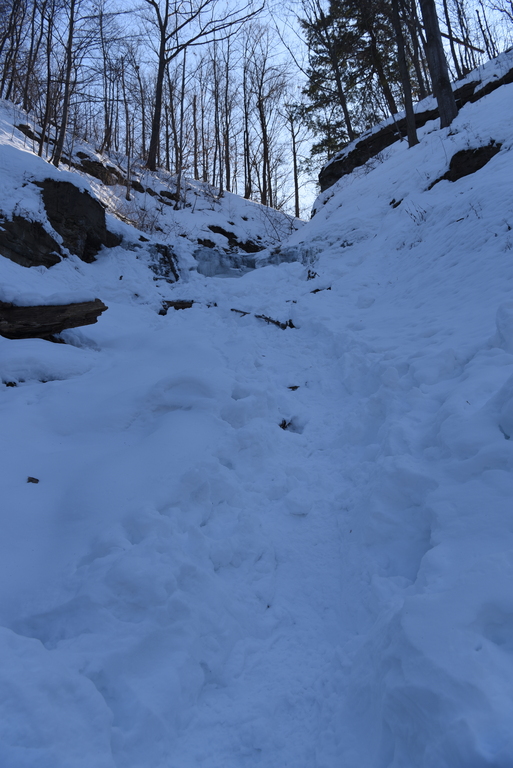 Taro Falls : Frozen