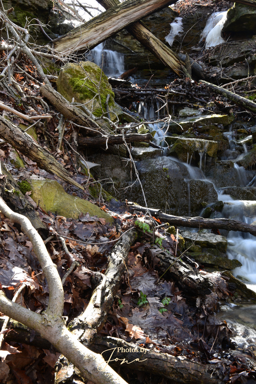 Puddicombe Falls