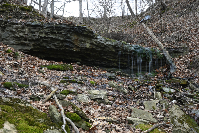 Lewis Rd. West Falls