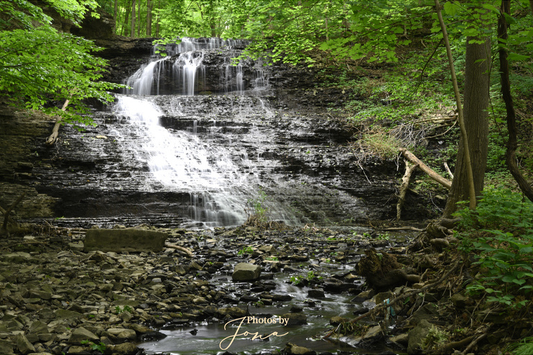 Stephanie Falls