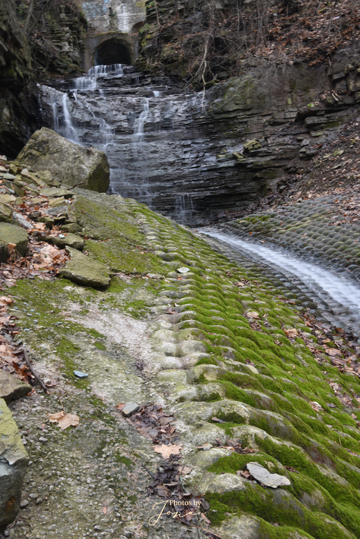 Mountview Falls