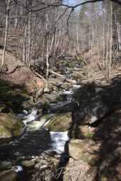 Grindstone Cascades