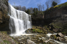 Webster's Falls