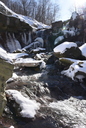 Lower Chedoke Falls