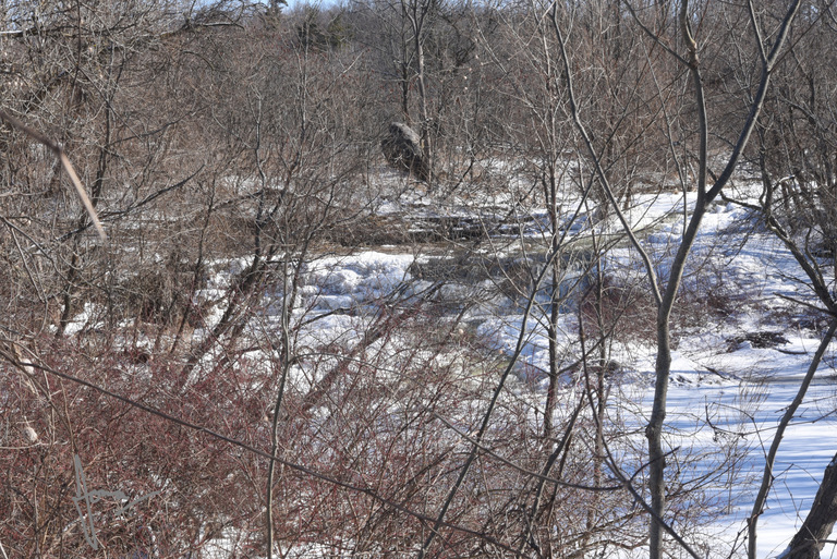 Hunter Falls