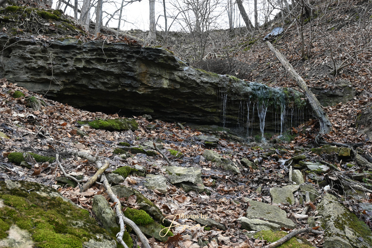 Lewis Rd. West Falls