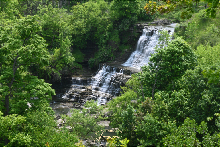 Albion Falls