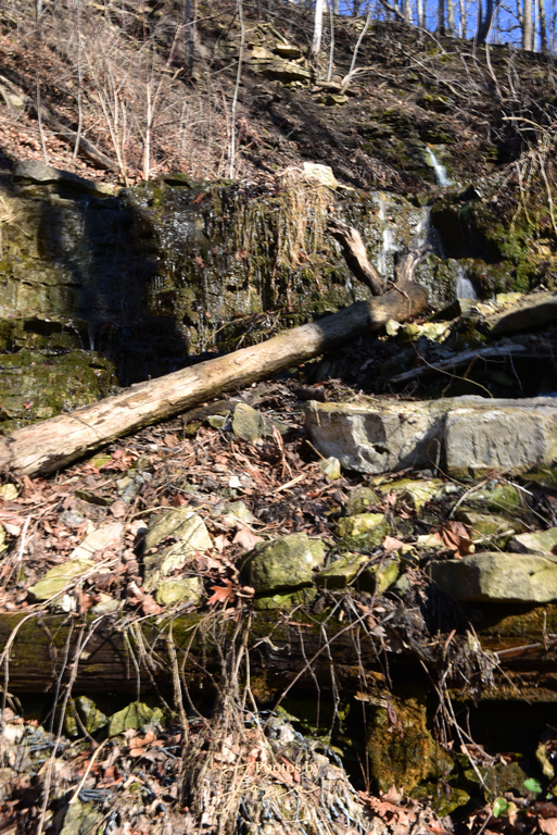 Taro Falls