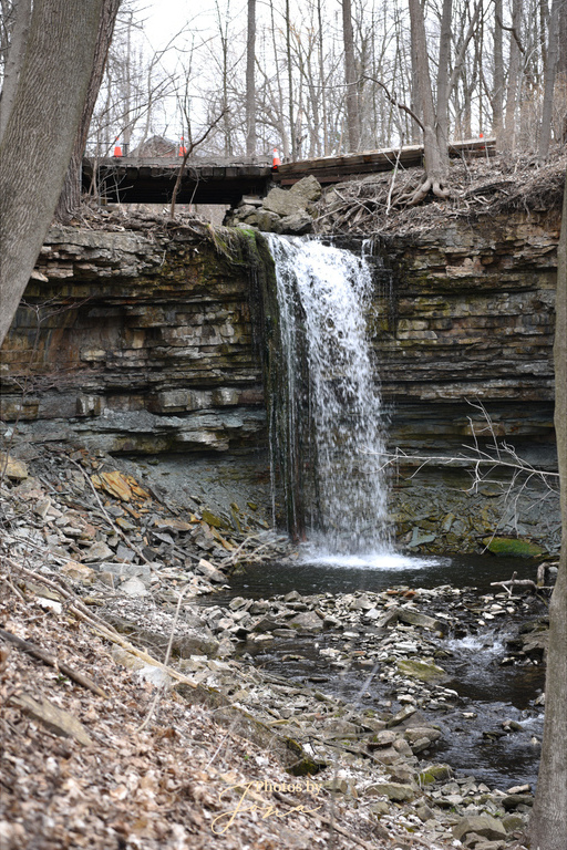 Spring Falls