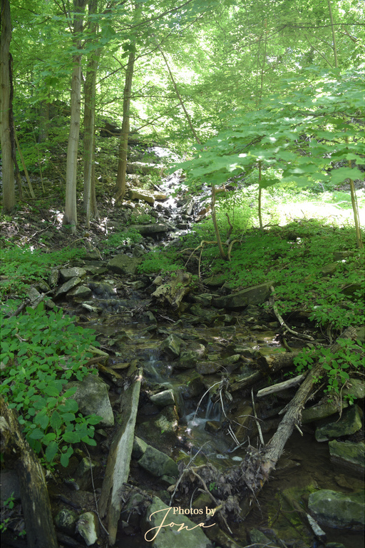 Sisters of Mary Falls