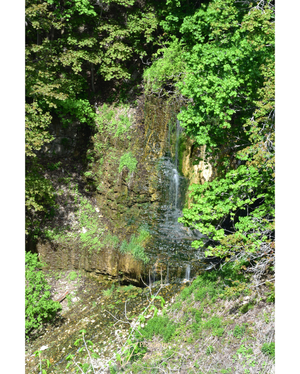 Webster's Falls - Karst feature