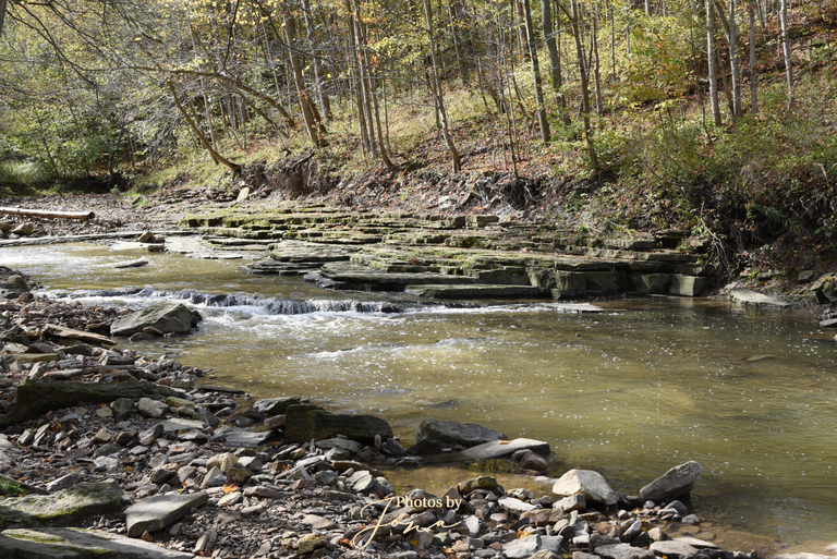 Redhill Creek