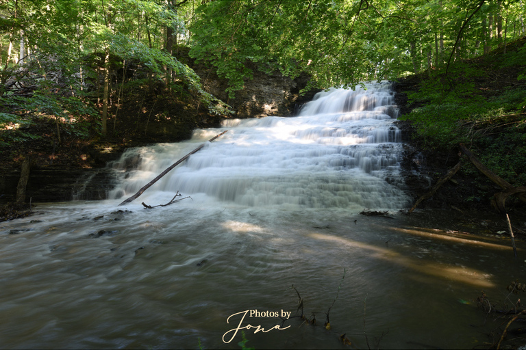 Stephanie Falls