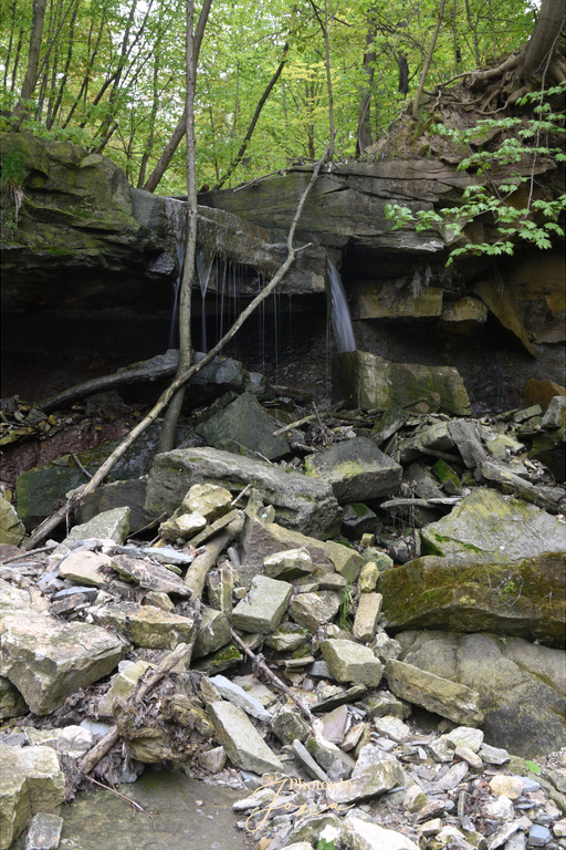 Lower Cliffview Falls