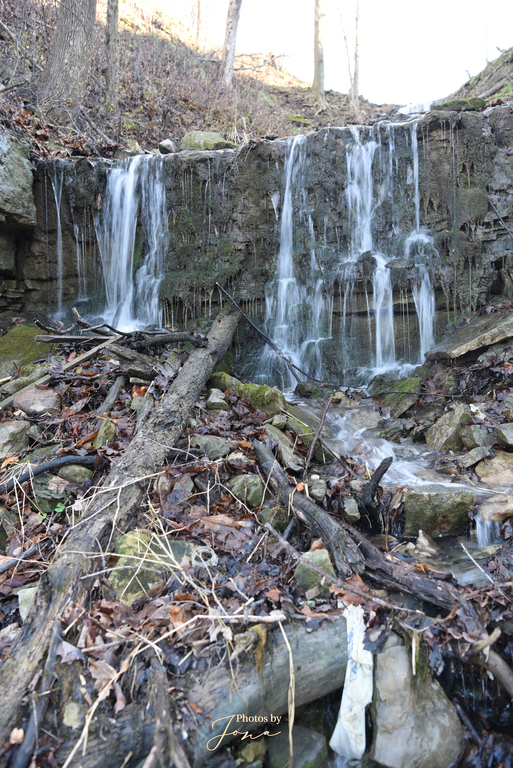 Veever's Falls