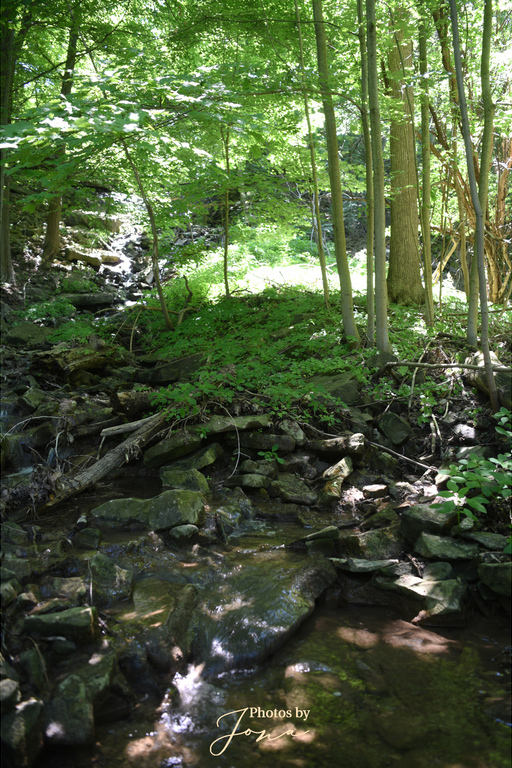 Sisters of Mary Falls