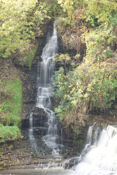 Baby Albion Falls