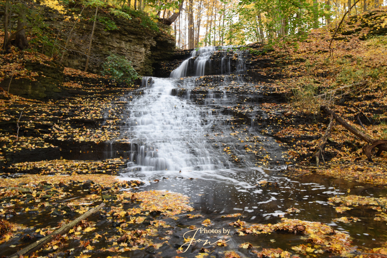 Stephanie Falls