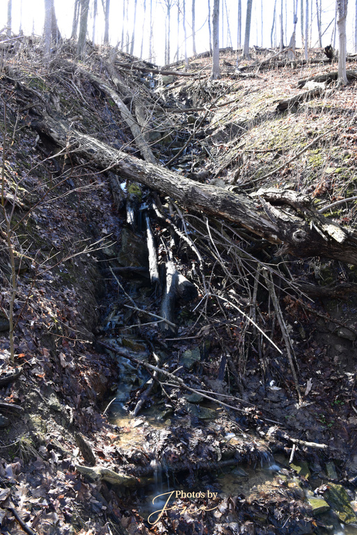 Fifty Road Cascade