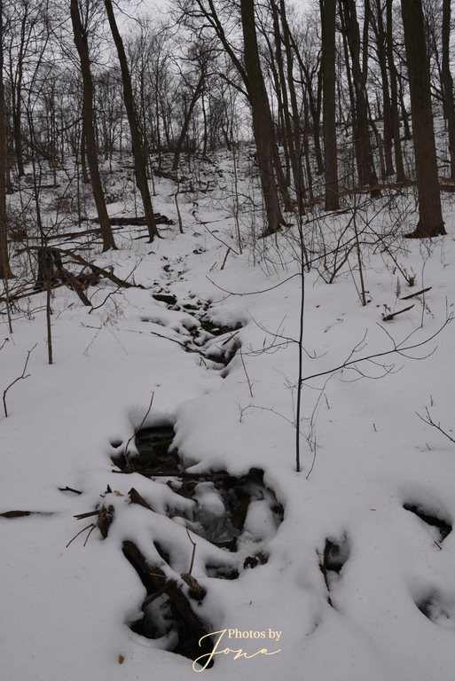 Vinemount West Falls