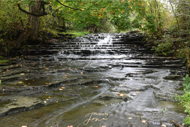 Billy Monkley Cascade