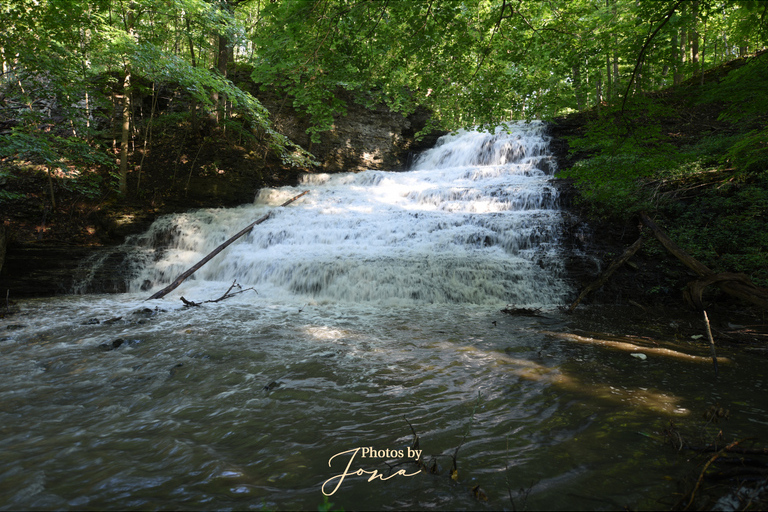 Stephanie Falls