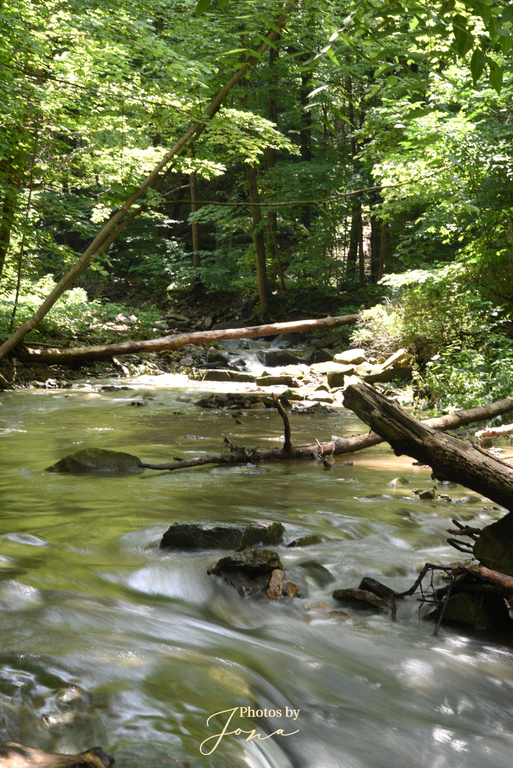 Davis Creek