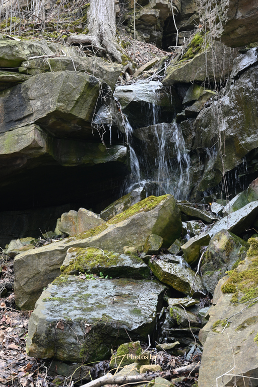 McNeilly West Falls