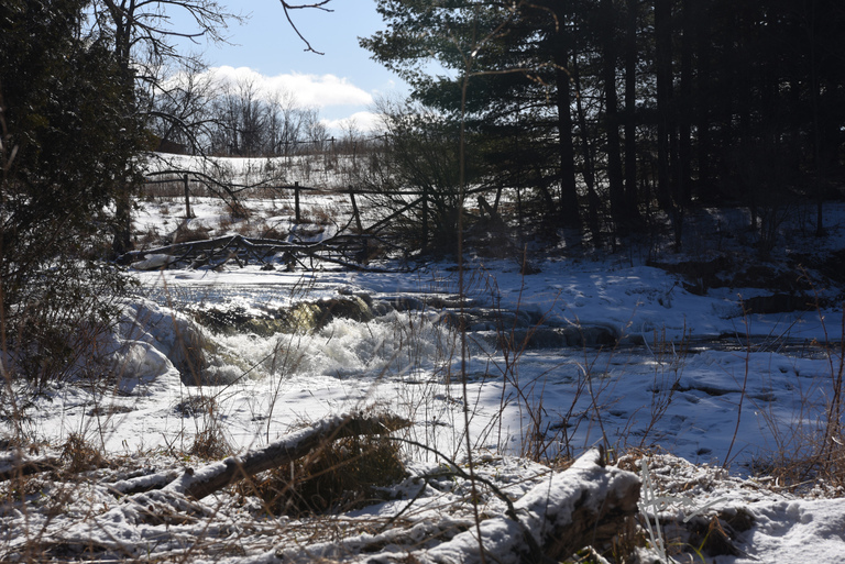 Troy Falls