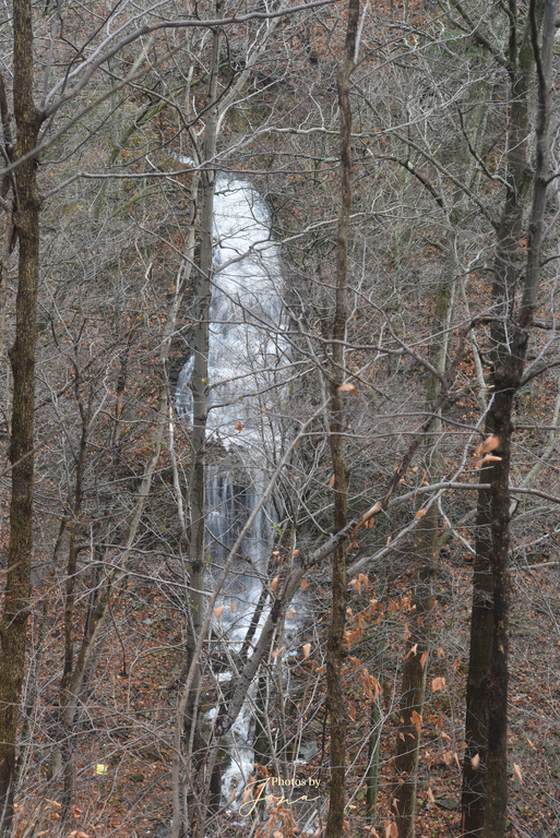 Scenic Falls