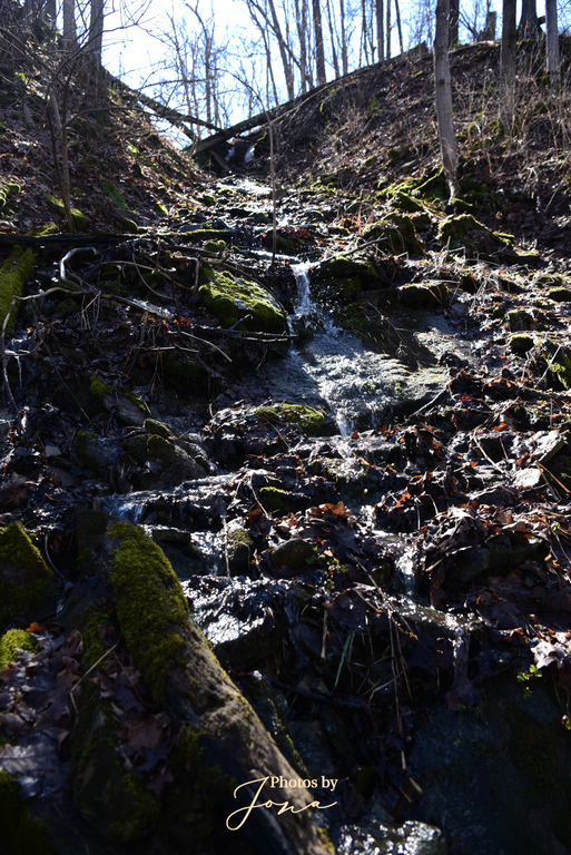 Puddicombe Falls