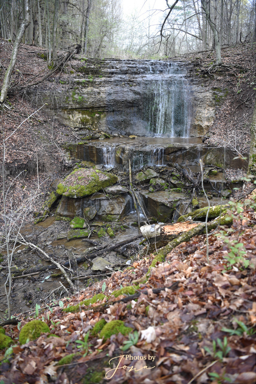 Steven's Falls