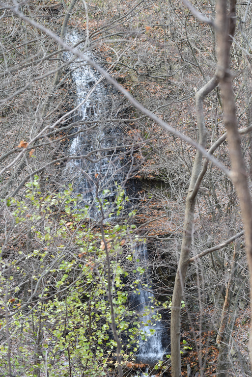 Scenic Falls