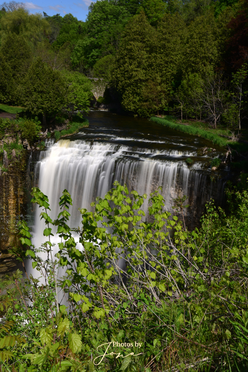 Webster's Falls