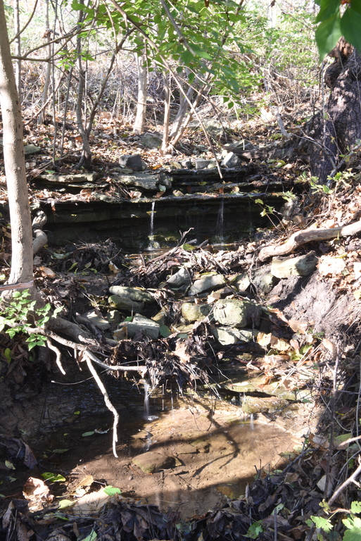 Wesley Cascade : Autumn