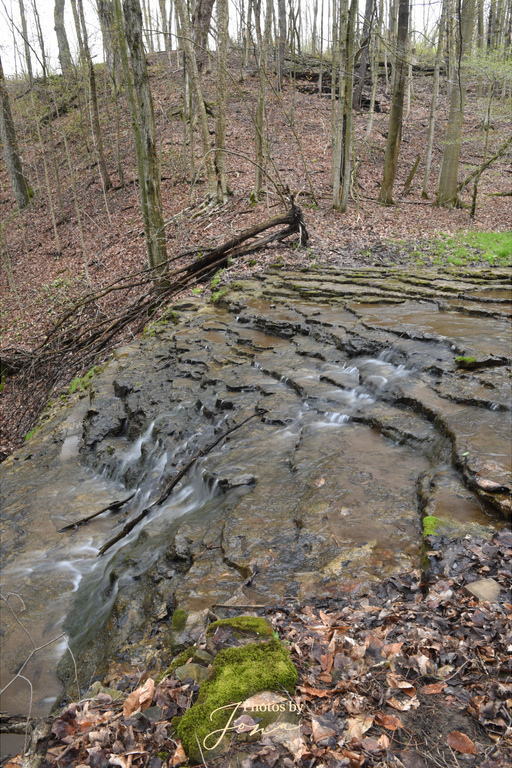 Steven's Falls