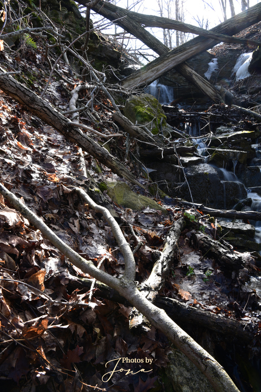 Puddicombe Falls
