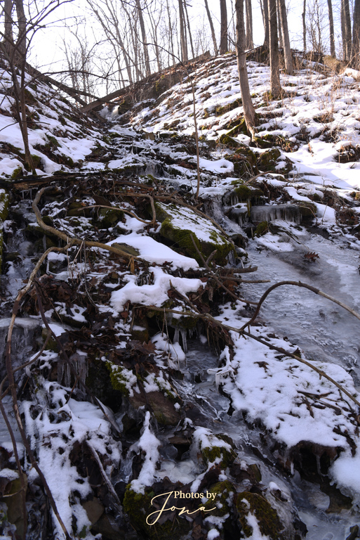 Puddicombe Falls