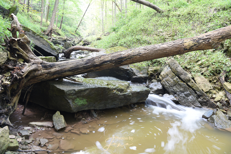 Lower Borer's Falls
