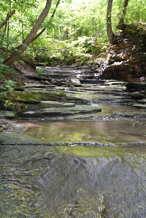 Lower Cliffview Falls