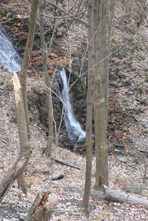 Scenic Falls
