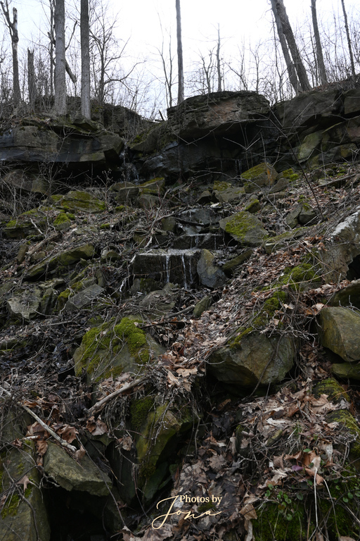 McNeilly West Falls