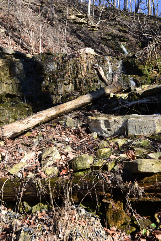Taro Falls