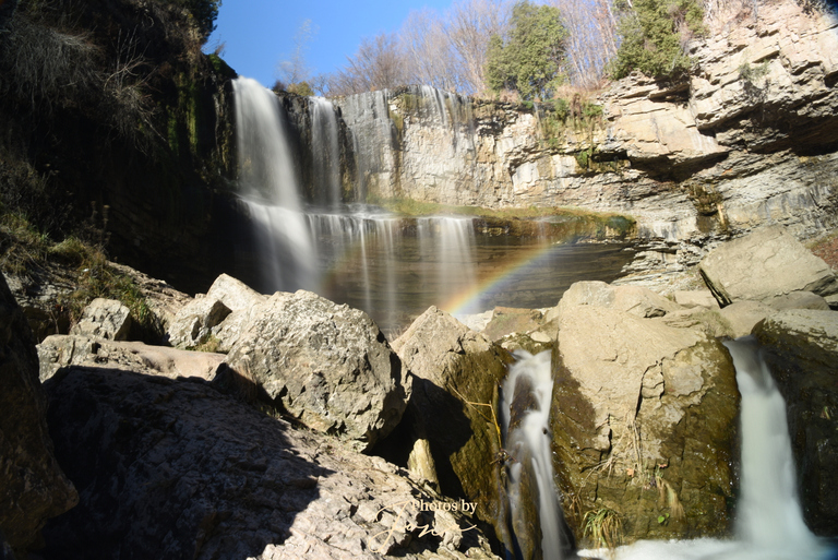 Webster's Falls
