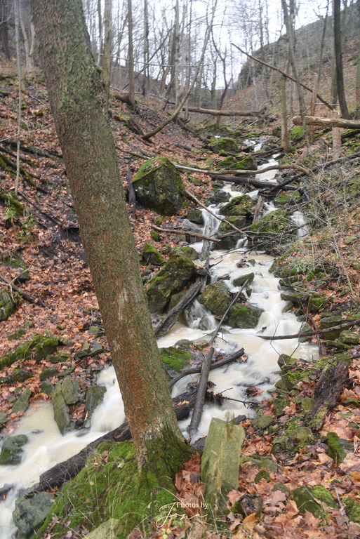Lower Sanatorium Cascade