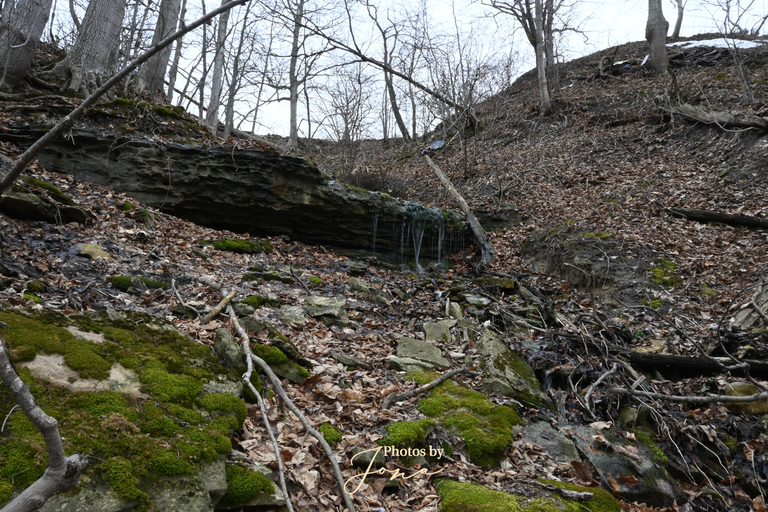 Lewis Rd. West Falls