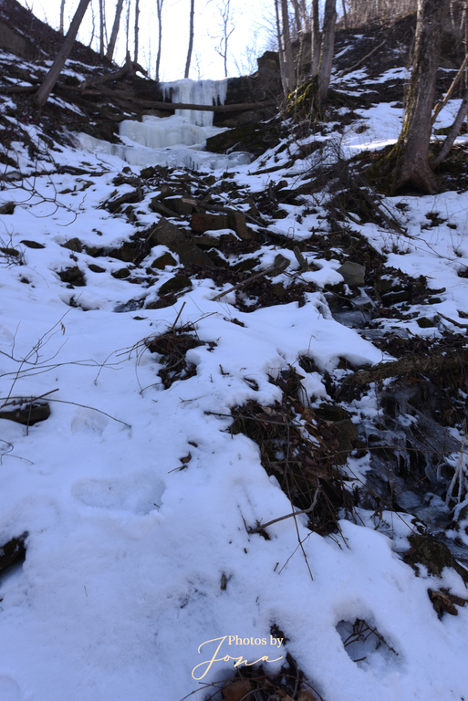 Pond Falls